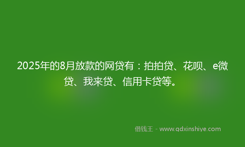 2025年的8月放款的网贷有：拍拍贷、花呗、e微贷、我来贷、信用卡贷等。