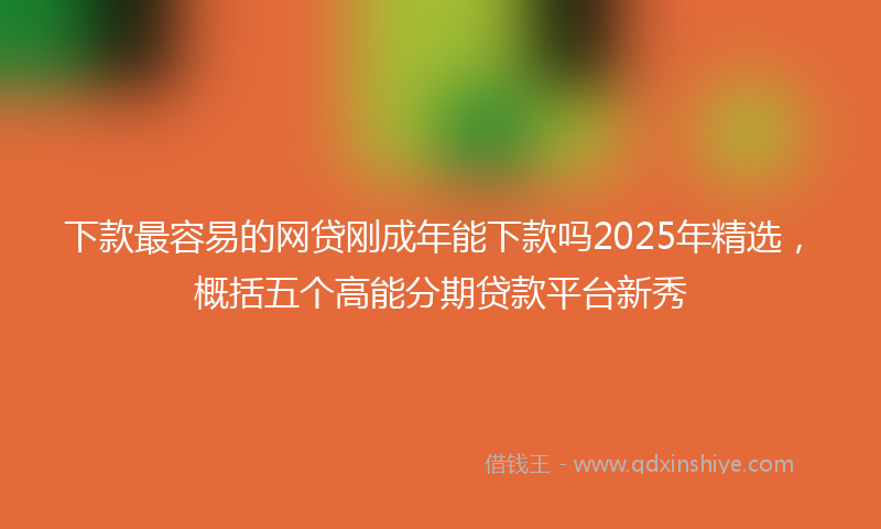 下款最容易的网贷刚成年能下款吗2025年精选，概括五个高能分期贷款平台新秀