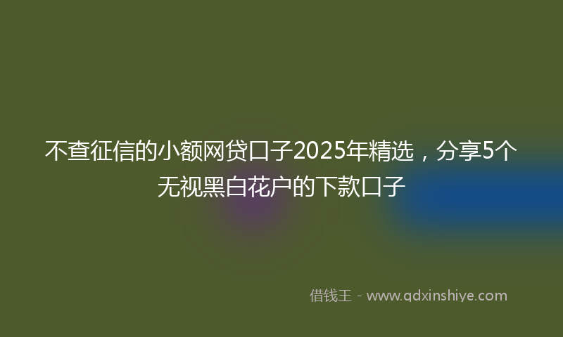 不查征信的小额网贷口子2025年精选，分享5个无视黑白花户的下款口子