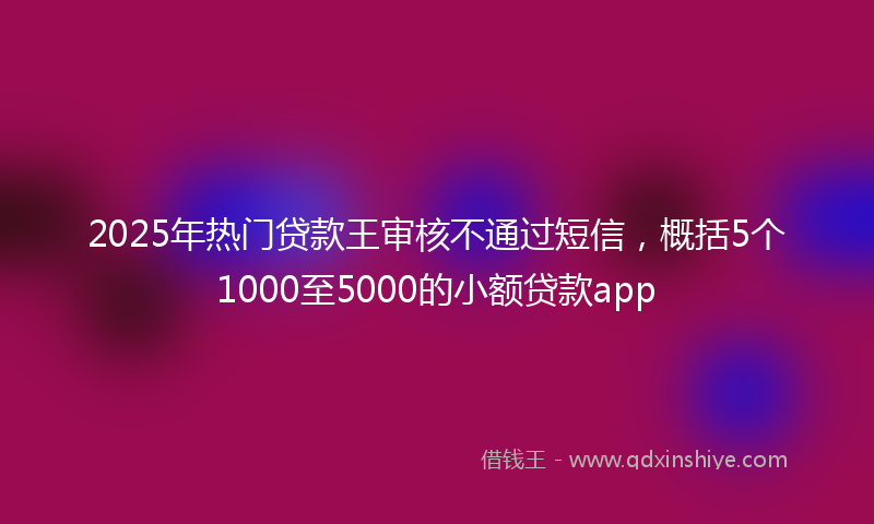 2025年热门贷款王审核不通过短信，概括5个1000至5000的小额贷款app