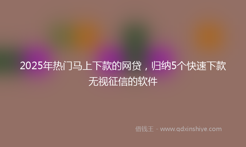 2025年热门马上下款的网贷，归纳5个快速下款无视征信的软件
