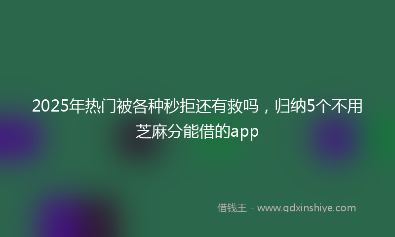 2025年热门被各种秒拒还有救吗，归纳5个不用芝麻分能借的app