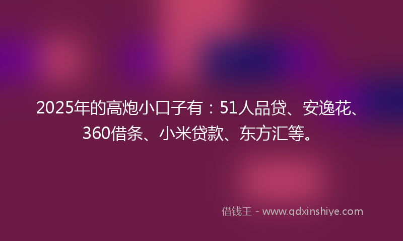 2025年的高炮小口子有：51人品贷、安逸花、360借条、小米贷款、东方汇等。
