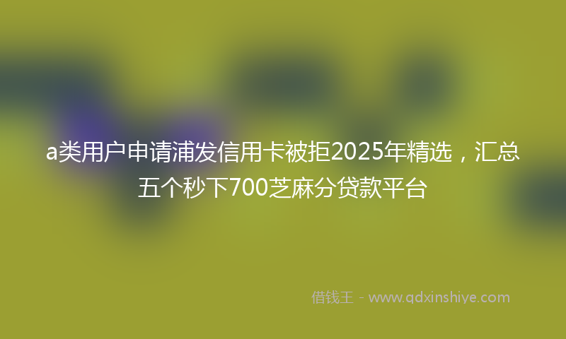 a类用户申请浦发信用卡被拒2025年精选，汇总五个秒下700芝麻分贷款平台