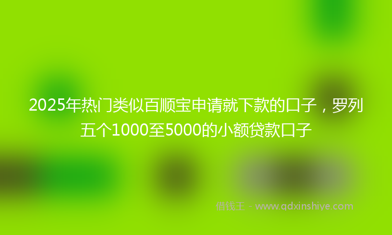 2025年热门类似百顺宝申请就下款的口子，罗列五个1000至5000的小额贷款口子