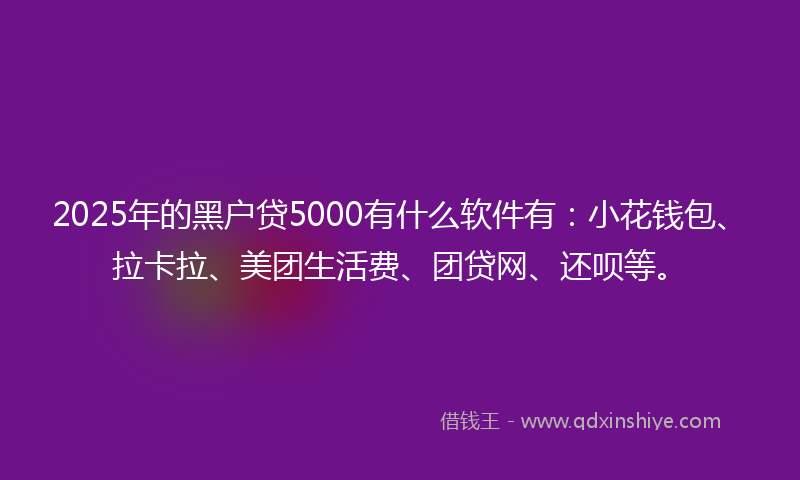 2025年的黑户贷5000有什么软件有：小花钱包、拉卡拉、美团生活费、团贷网、还呗等。