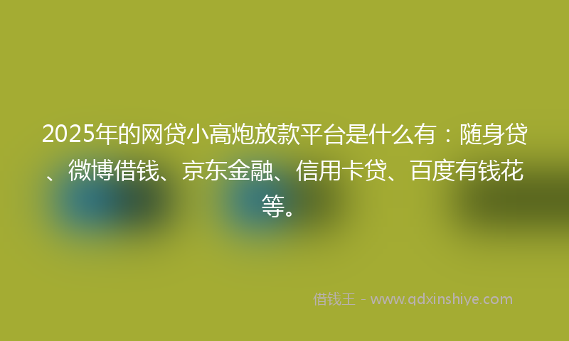 2025年的网贷小高炮放款平台是什么有：随身贷、微博借钱、京东金融、信用卡贷、百度有钱花等。