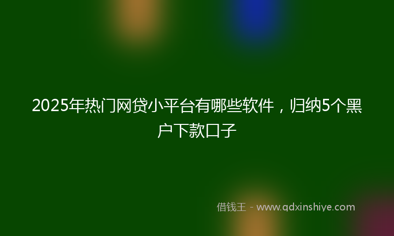 2025年热门网贷小平台有哪些软件，归纳5个黑户下款口子