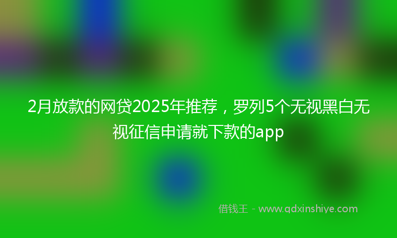 2月放款的网贷2025年推荐，罗列5个无视黑白无视征信申请就下款的app