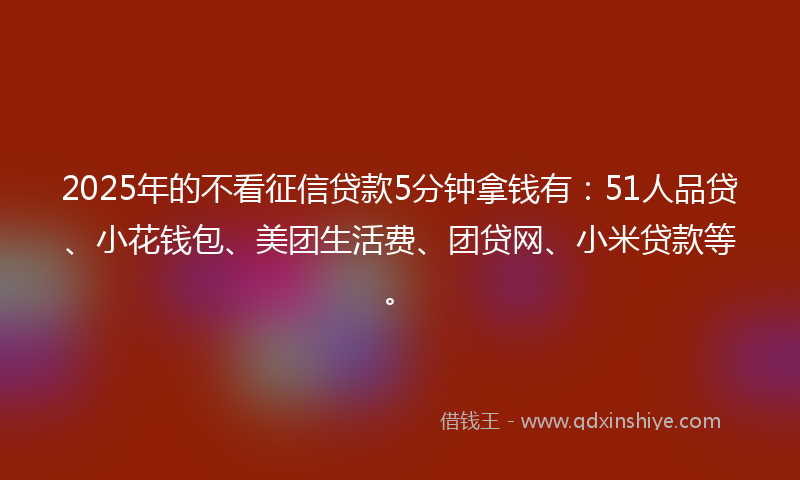 2025年的不看征信贷款5分钟拿钱有：51人品贷、小花钱包、美团生活费、团贷网、小米贷款等。