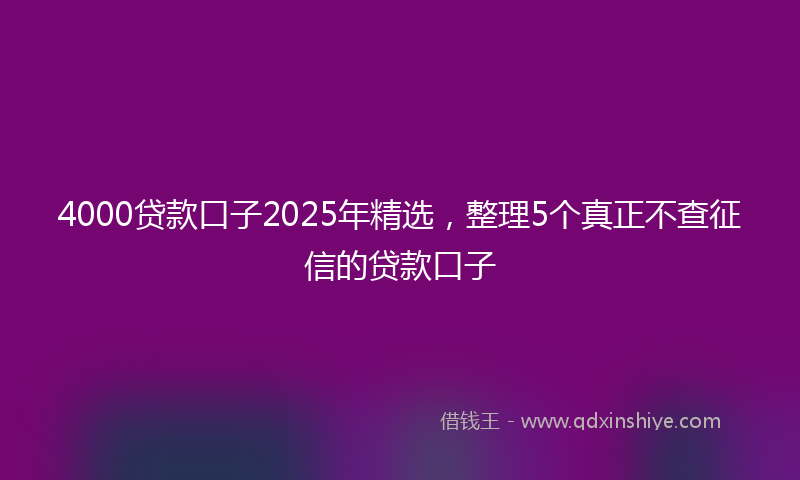 4000贷款口子2025年精选,整理5个真正不查征信的贷款口子