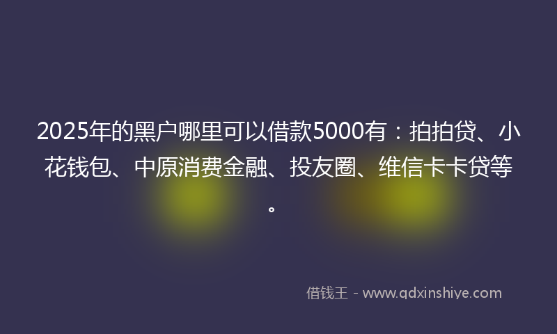 2025年的黑户哪里可以借款5000有：拍拍贷、小花钱包、中原消费金融、投友圈、维信卡卡贷等。