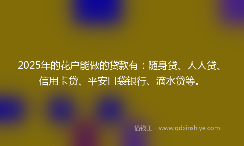 2025年的花户能做的贷款有：随身贷、人人贷、信用卡贷、平安口袋银行、滴水贷等。