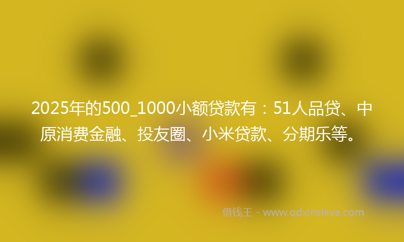 2025年的500_1000小额贷款有：51人品贷、中原消费金融、投友圈、小米贷款、分期乐等。