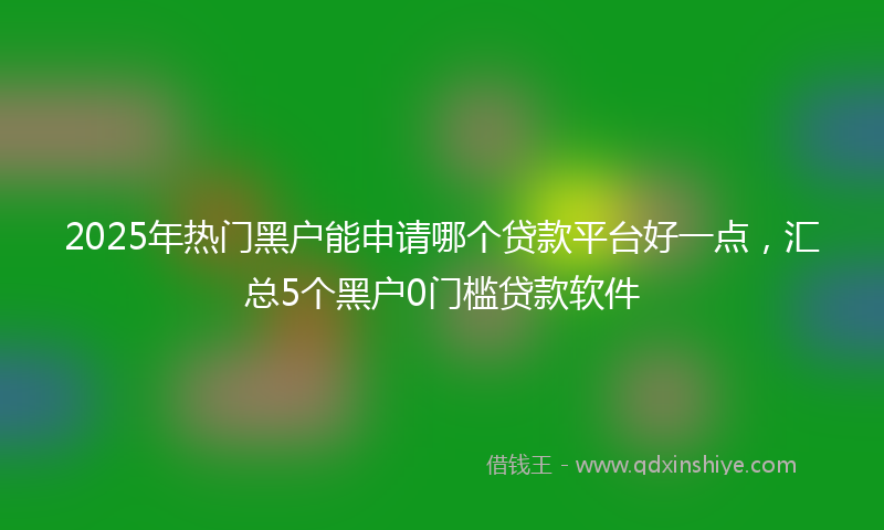2025年热门黑户能申请哪个贷款平台好一点,汇总5个黑户0门槛贷款软件