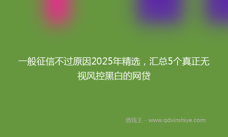 一般征信不过原因2025年精选，汇总5个真正无视风控黑白的网贷
