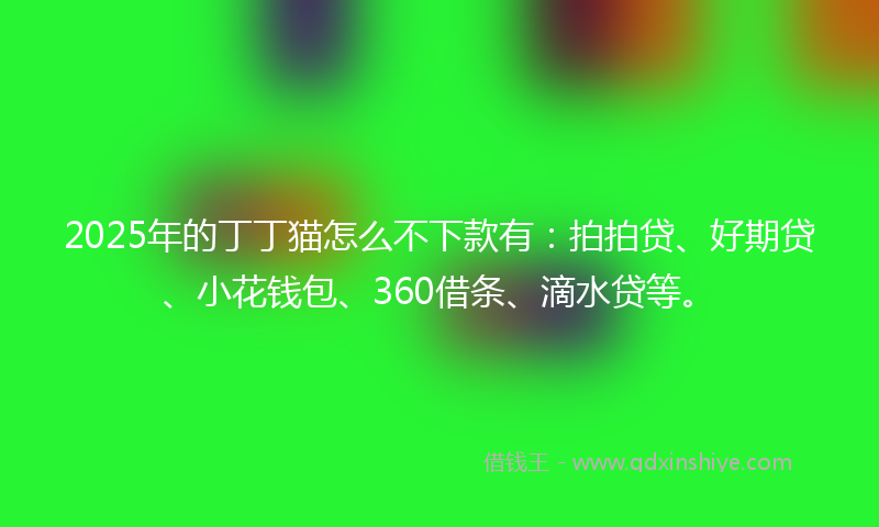 2025年的丁丁猫怎么不下款有：拍拍贷、好期贷、小花钱包、360借条、滴水贷等。