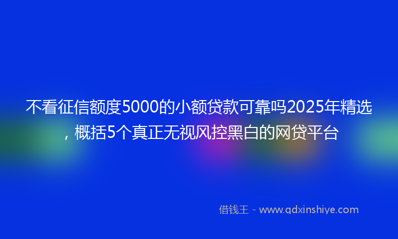 不看征信额度5000的小额贷款可靠吗2025年精选，概括5个真正无视风控黑白的网贷平台