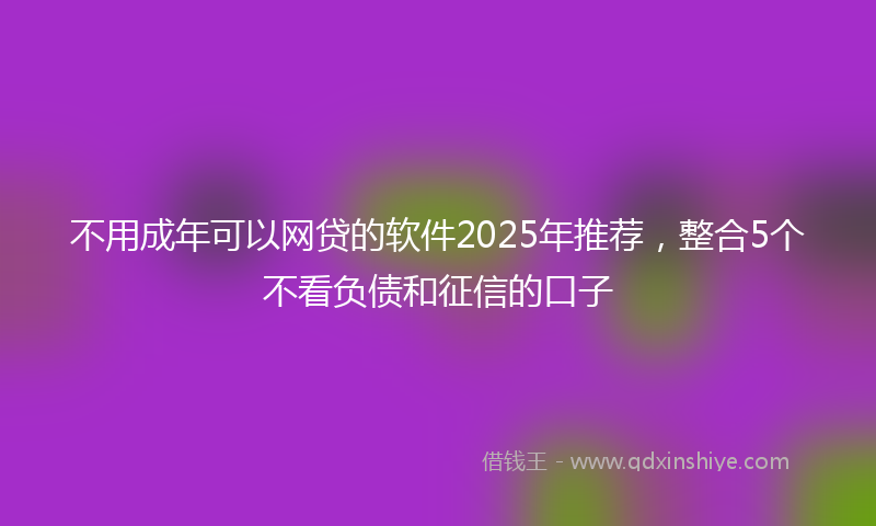 不用成年可以网贷的软件2025年推荐，整合5个不看负债和征信的口子