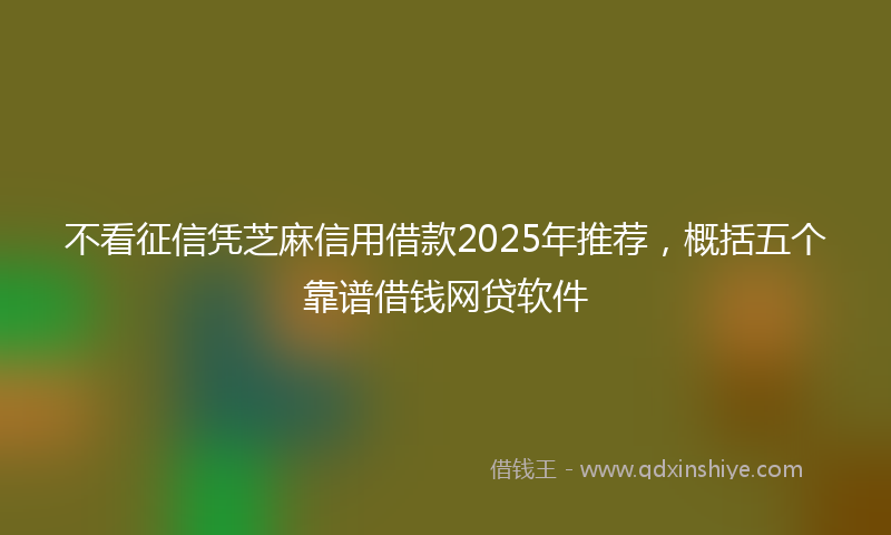 不看征信凭芝麻信用借款2025年推荐，概括五个靠谱借钱网贷软件
