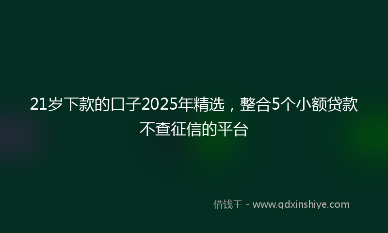 21岁下款的口子2025年精选，整合5个小额贷款不查征信的平台