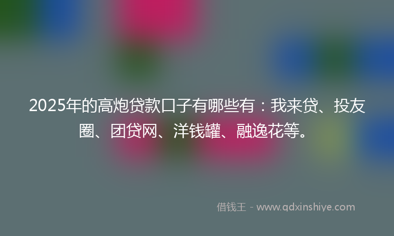 2025年的高炮贷款口子有哪些有：我来贷、投友圈、团贷网、洋钱罐、融逸花等。