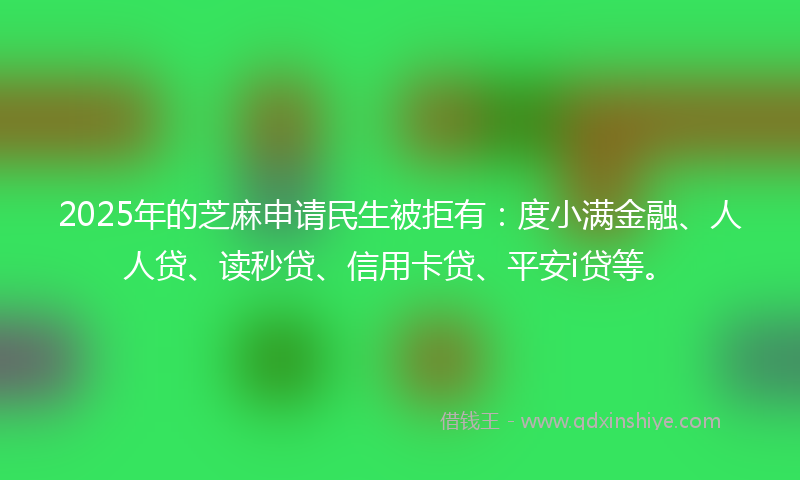 2025年的芝麻申请民生被拒有：度小满金融、人人贷、读秒贷、信用卡贷、平安i贷等。