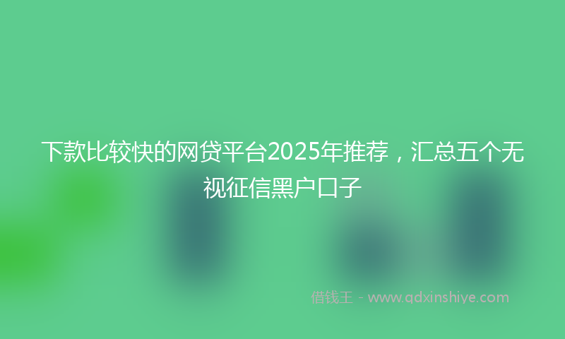 下款比较快的网贷平台2025年推荐，汇总五个无视征信黑户口子