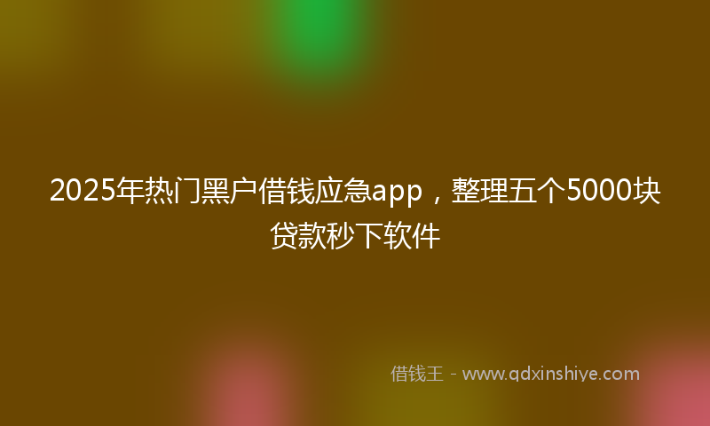 2025年热门黑户借钱应急app，整理五个5000块贷款秒下软件