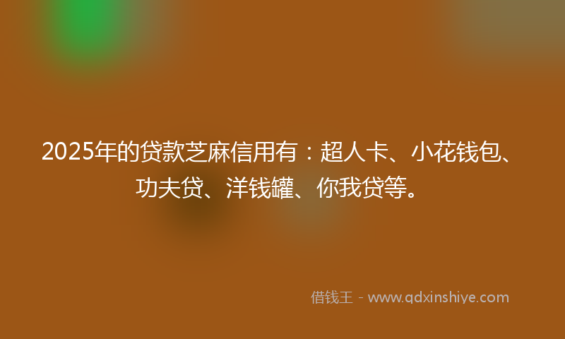 2025年的贷款芝麻信用有：超人卡、小花钱包、功夫贷、洋钱罐、你我贷等。