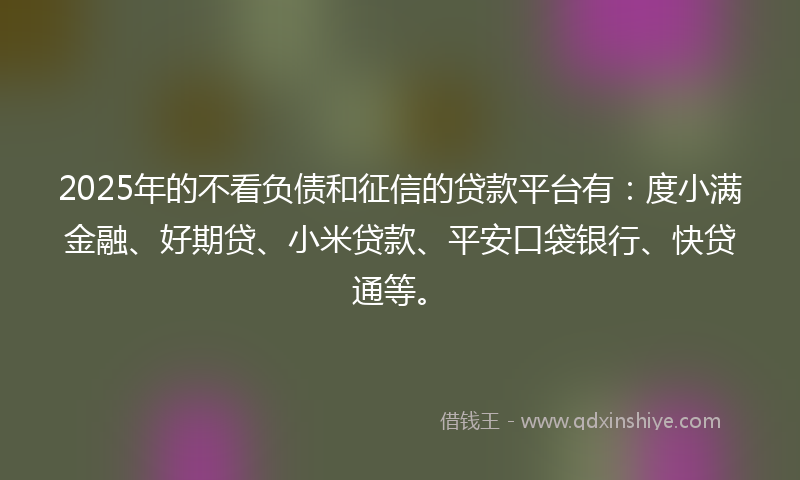 2025年的不看负债和征信的贷款平台有：度小满金融、好期贷、小米贷款、平安口袋银行、快贷通等。