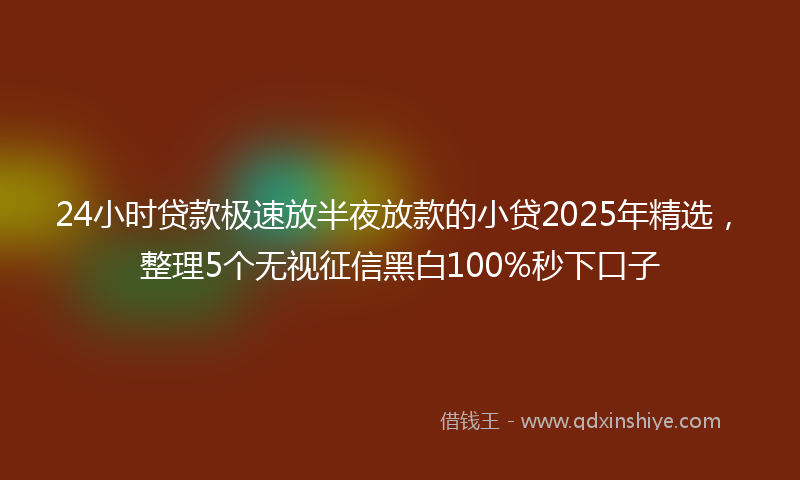 24小时贷款极速放半夜放款的小贷2025年精选，整理5个无视征信黑白100%秒下口子
