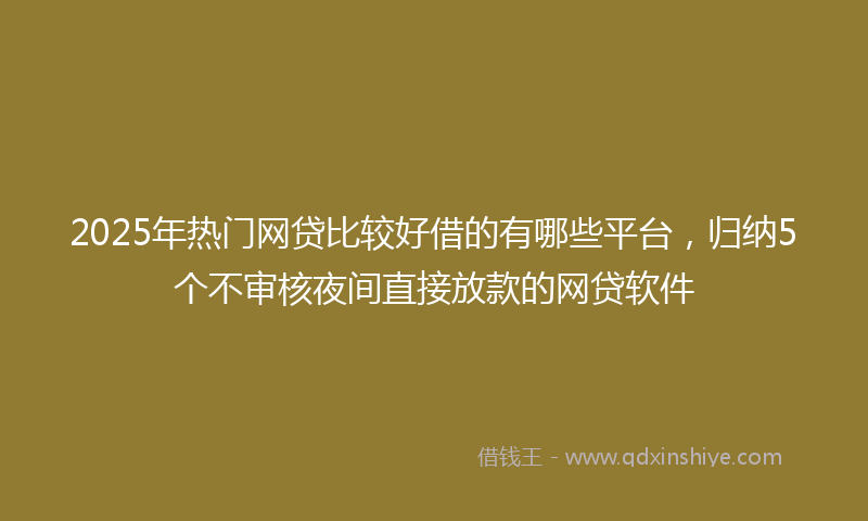 2025年热门网贷比较好借的有哪些平台，归纳5个不审核夜间直接放款的网贷软件