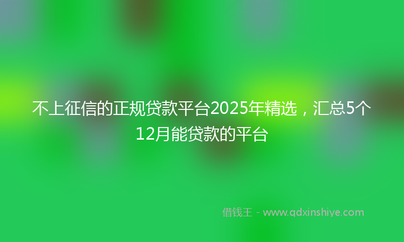 不上征信的正规贷款平台2025年精选，汇总5个12月能贷款的平台