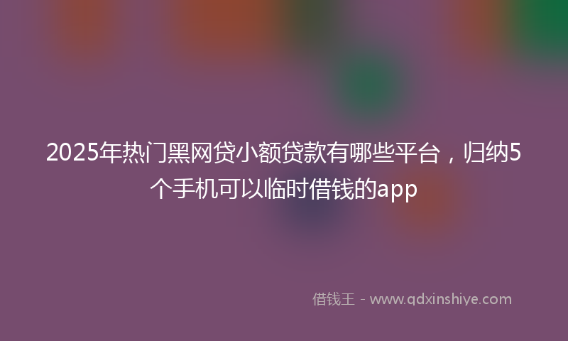 2025年热门黑网贷小额贷款有哪些平台,归纳5个手机可以临时借钱的app