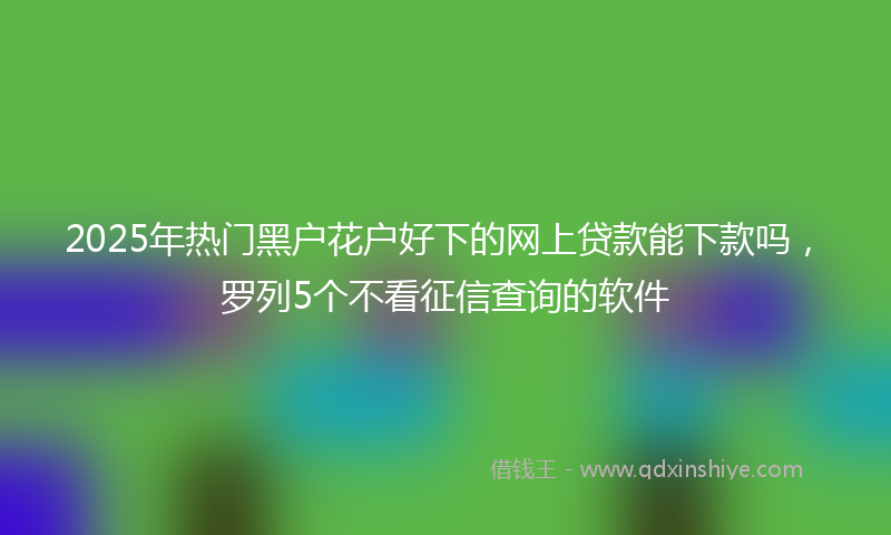 2025年热门黑户花户好下的网上贷款能下款吗，罗列5个不看征信查询的软件