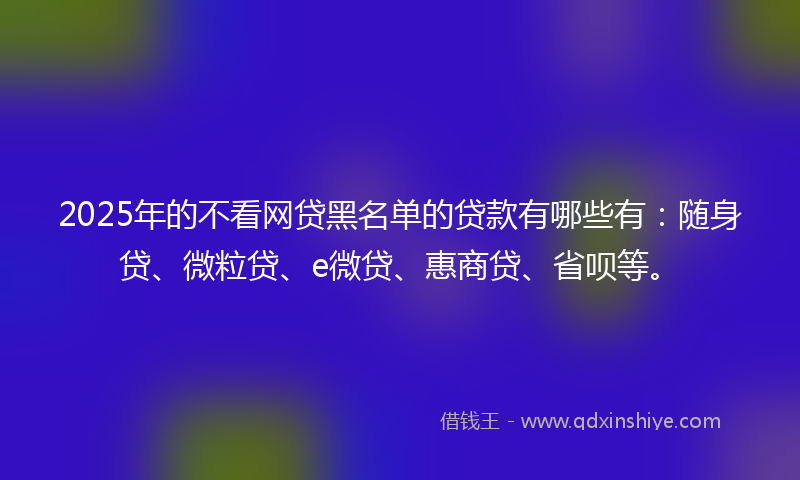 2025年的不看网贷黑名单的贷款有哪些有：随身贷、微粒贷、e微贷、惠商贷、省呗等。