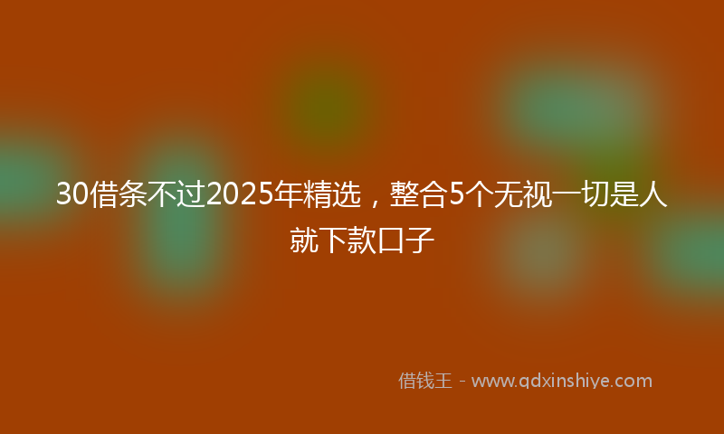 30借条不过2025年精选，整合5个无视一切是人就下款口子