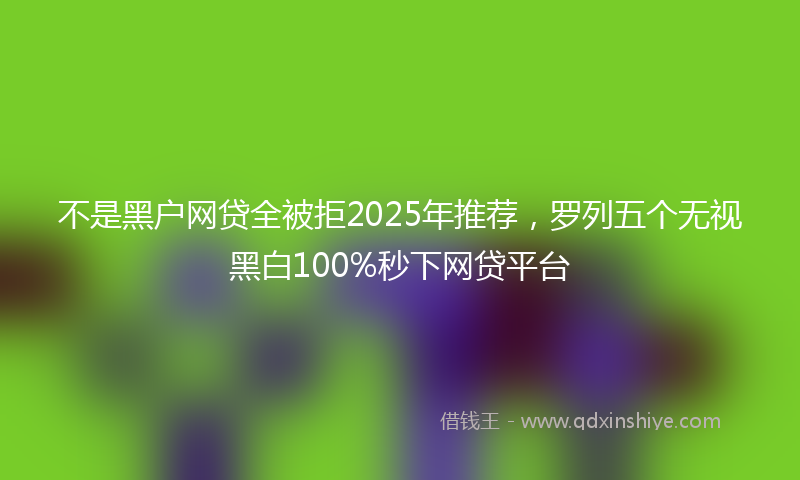 不是黑户网贷全被拒2025年推荐，罗列五个无视黑白100%秒下网贷平台