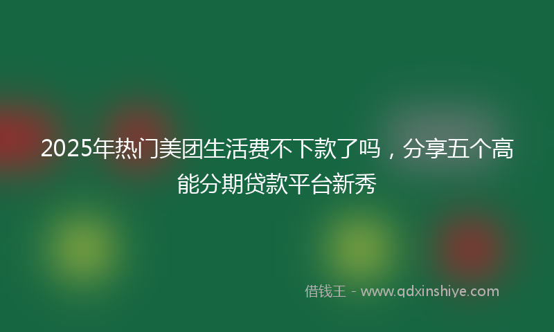 2025年热门美团生活费不下款了吗，分享五个高能分期贷款平台新秀