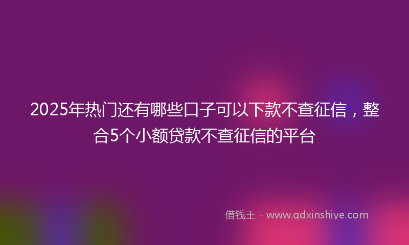 2025年热门还有哪些口子可以下款不查征信，整合5个小额贷款不查征信的平台