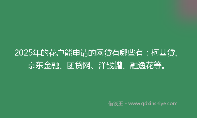 2025年的花户能申请的网贷有哪些有：柯基贷、京东金融、团贷网、洋钱罐、融逸花等。