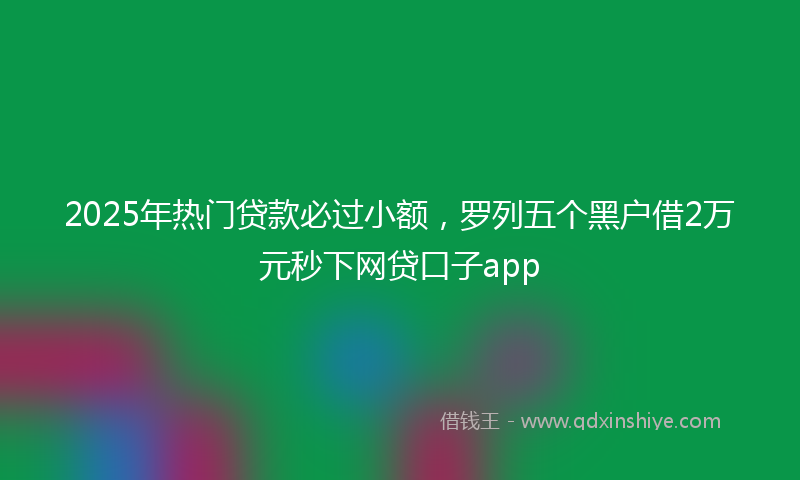 2025年热门贷款必过小额，罗列五个黑户借2万元秒下网贷口子app