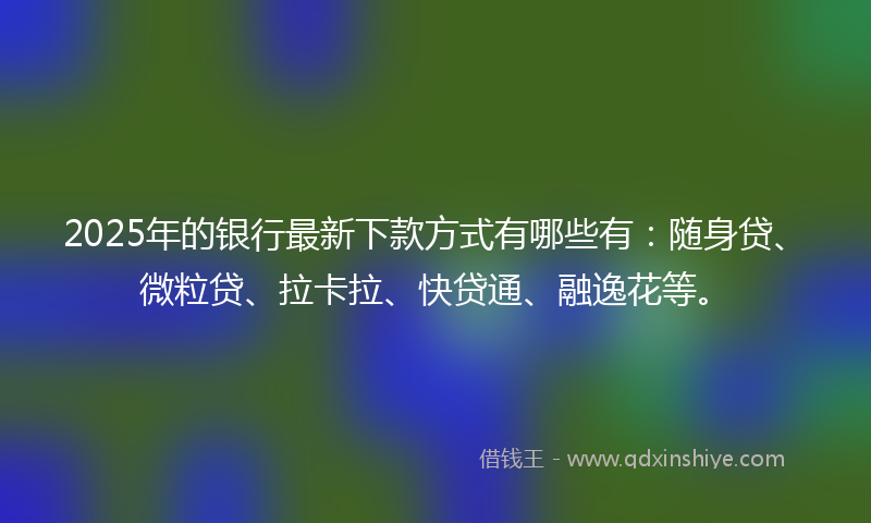2025年的银行最新下款方式有哪些有：随身贷、微粒贷、拉卡拉、快贷通、融逸花等。