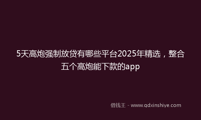 5天高炮强制放贷有哪些平台2025年精选，整合五个高炮能下款的app