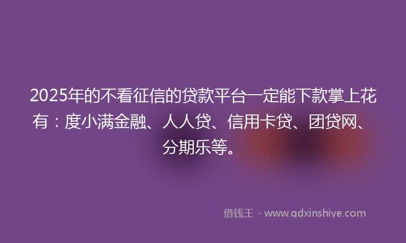 2025年的不看征信的贷款平台一定能下款掌上花有：度小满金融、人人贷、信用卡贷、团贷网、分期乐等。