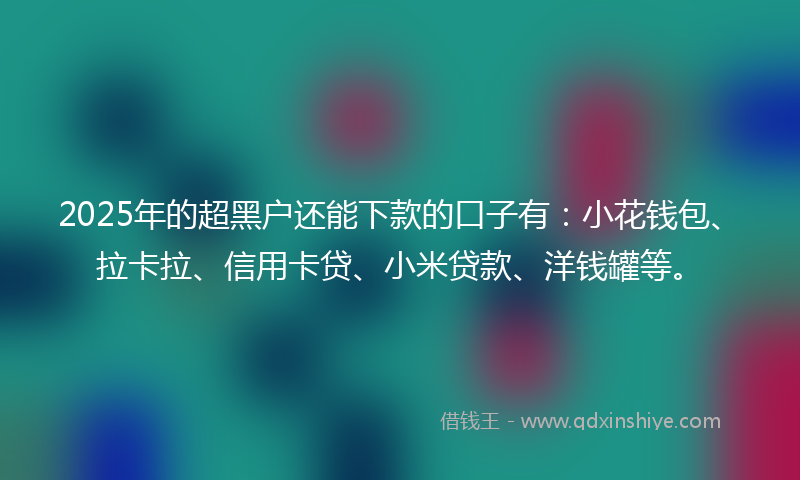 2025年的超黑户还能下款的口子有：小花钱包、拉卡拉、信用卡贷、小米贷款、洋钱罐等。