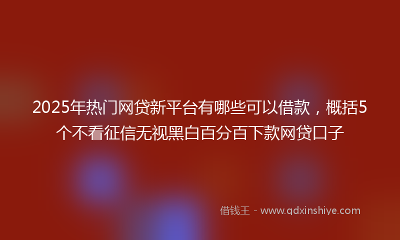 2025年热门网贷新平台有哪些可以借款，概括5个不看征信无视黑白百分百下款网贷口子