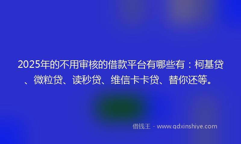 2025年的不用审核的借款平台有哪些有：柯基贷、微粒贷、读秒贷、维信卡卡贷、替你还等。