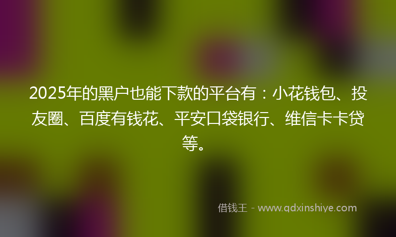 2025年的黑户也能下款的平台有：小花钱包、投友圈、百度有钱花、平安口袋银行、维信卡卡贷等。